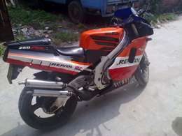 RGV22