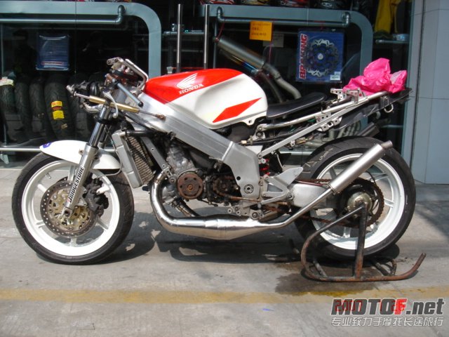 dsc04384.jpg