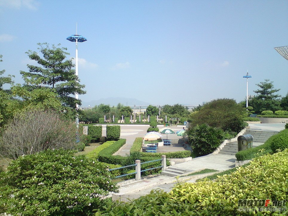 DSC0066.jpg