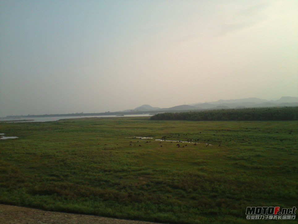 DSC00716.jpg