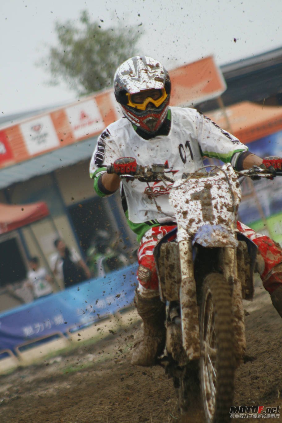 _MG_2531.JPG