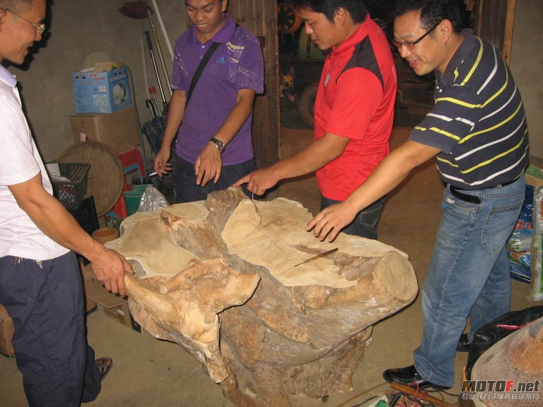 调整大小 夜袭公鸡窝.JPG