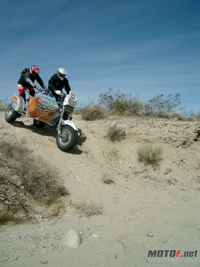 TeamHogWild_Harley_Sidecar_x640.jpg