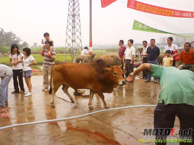 ea0961b1.jpg