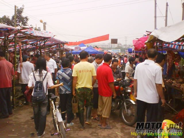 05698619.jpg