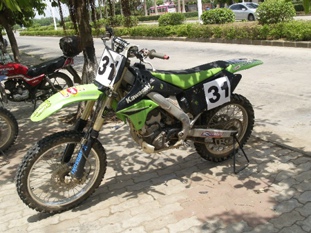BigBull__1019057.JPG