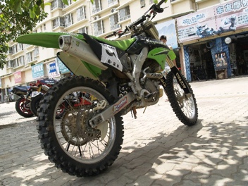 BigBull__1019062.JPG