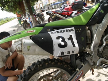BigBull__1019065.JPG