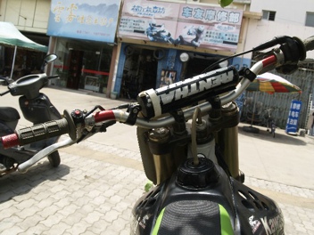 BigBull__1019069.JPG