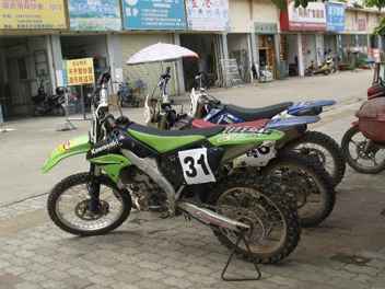 BigBull__1019070.JPG