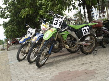 BigBull__1019071.JPG