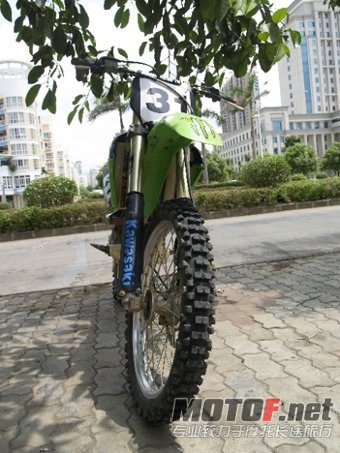 BigBull_旋转 _1019058.JPG