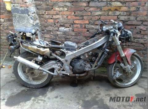 RG125  海豚250