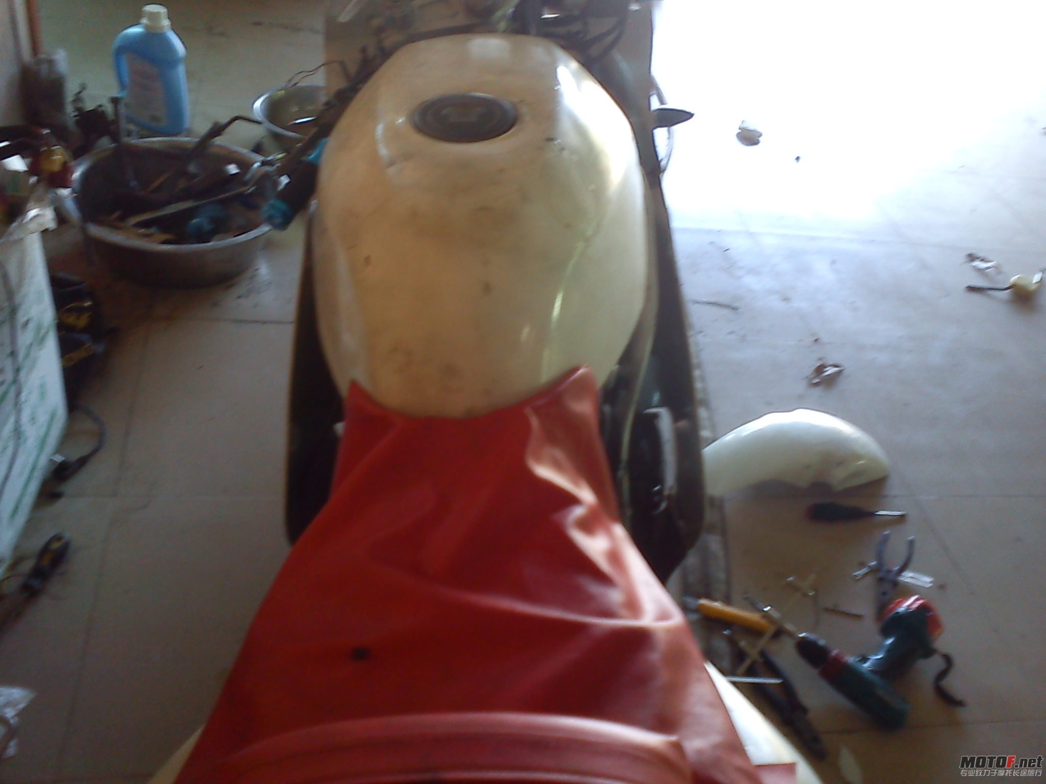DSC00079.jpg
