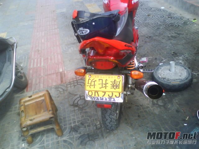 我的爱驹
