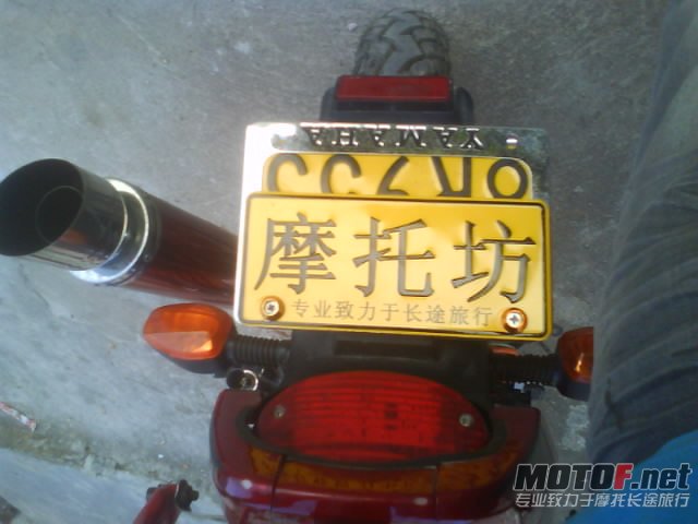 我的爱驹
