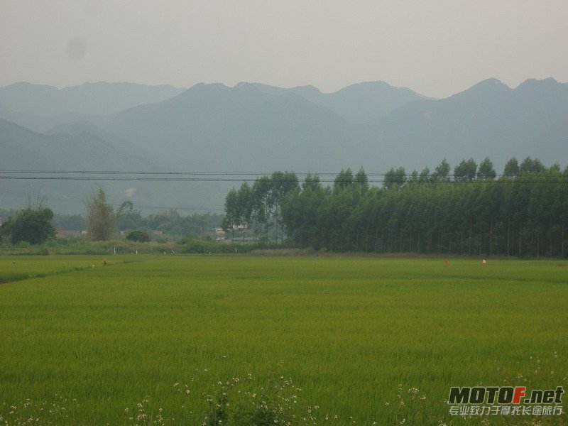 030.jpg