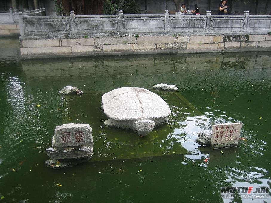 照片 343.jpg