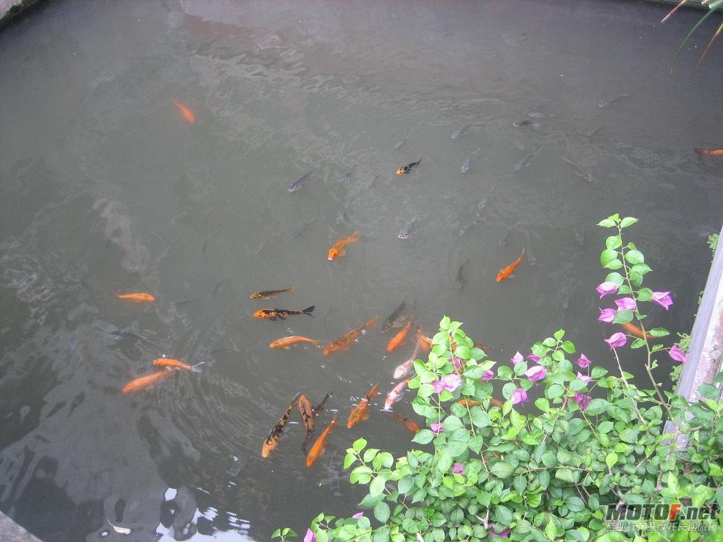 照片 351.jpg