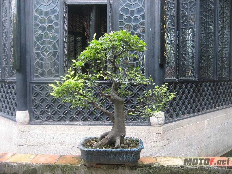 照片 402.jpg