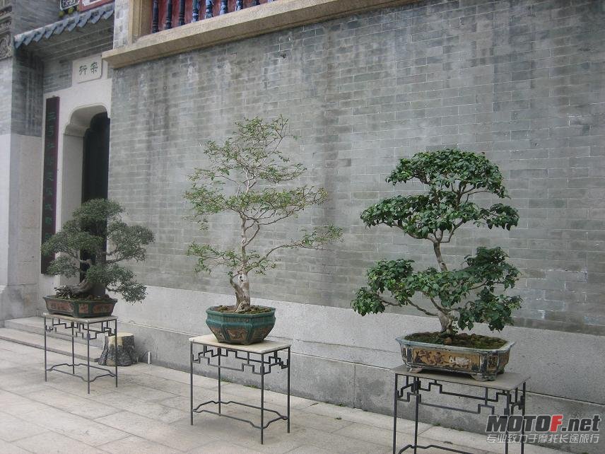 照片 548.jpg