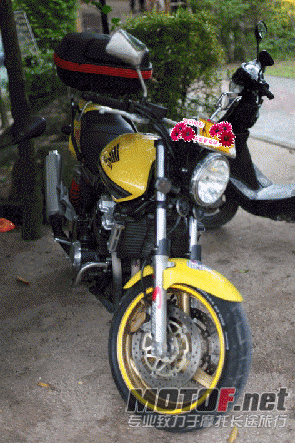 IMG_5933_调整大小_调整大小_副本.gif