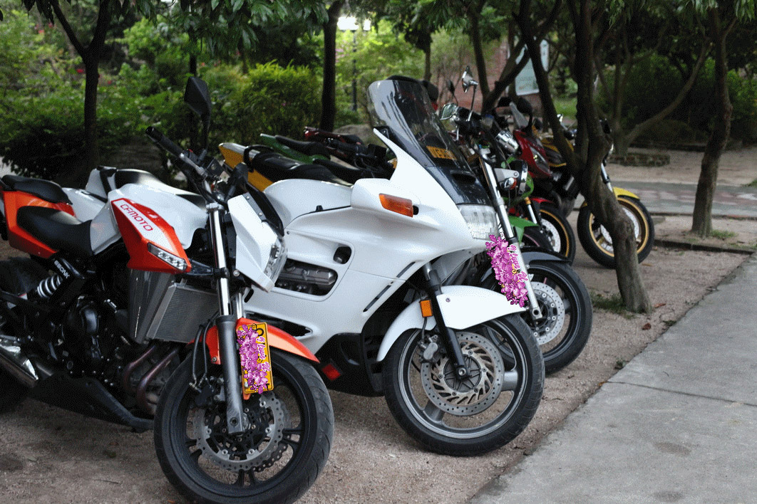 IMG_5945_调整大小_调整大小_副本副本.jpg
