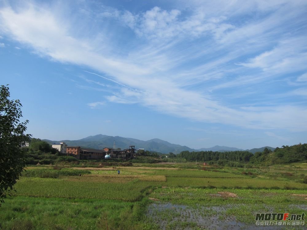 nEO_IMG_10月桐子山 046.jpg