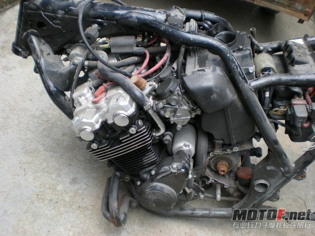 11044_1284566064MgSl.jpg