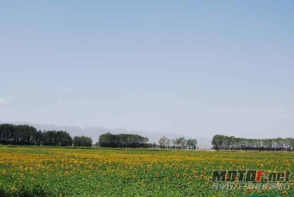 DSC_0305.JPG