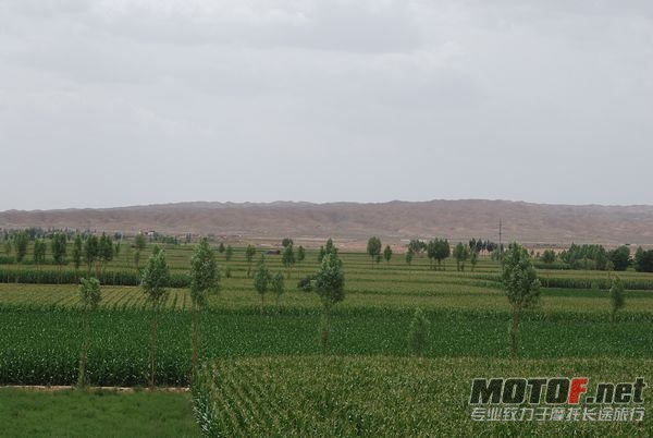 DSC_0325.JPG