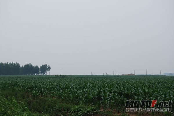 DSC_0337.JPG
