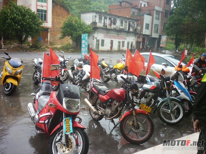 P1010298.jpg