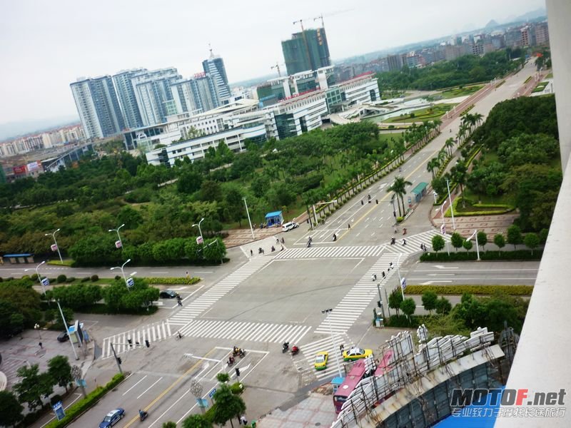P1010326.jpg