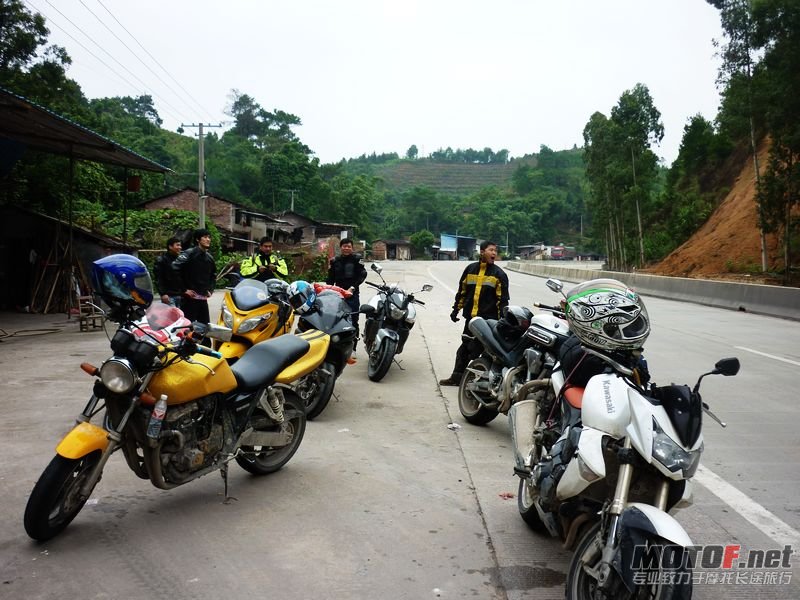 P1010355.jpg