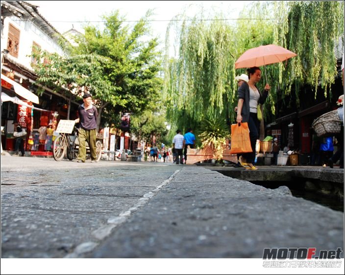 nEO_IMG_DSC_7335.jpg