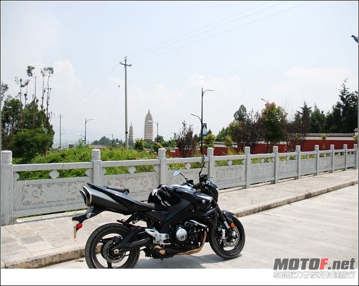 nEO_IMG_DSC_7393.jpg