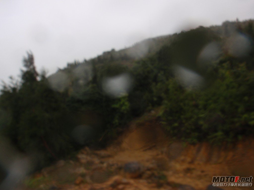 PA120117.jpg