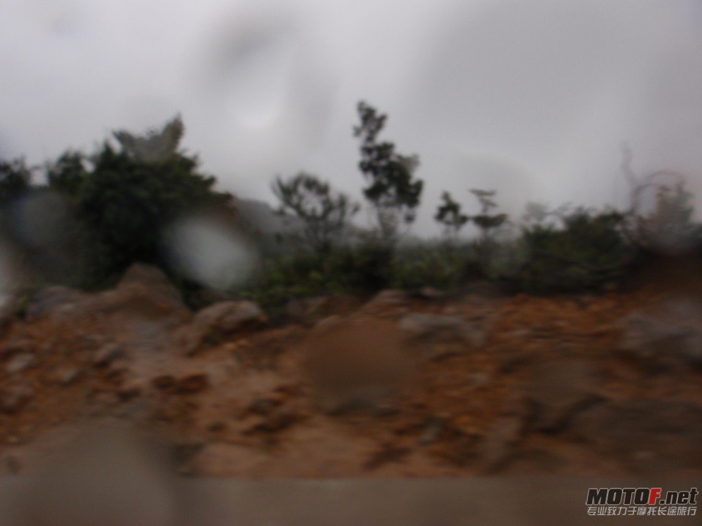 PA120126.jpg