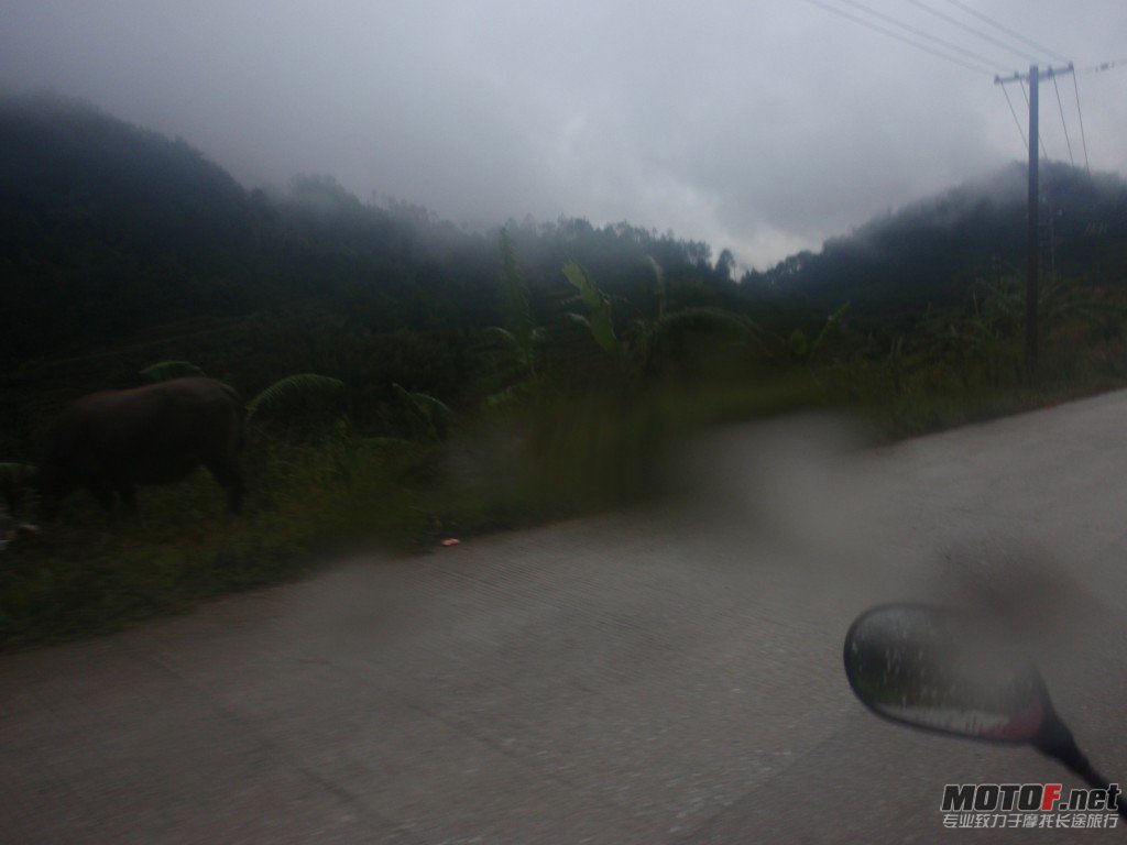 PA120204.jpg