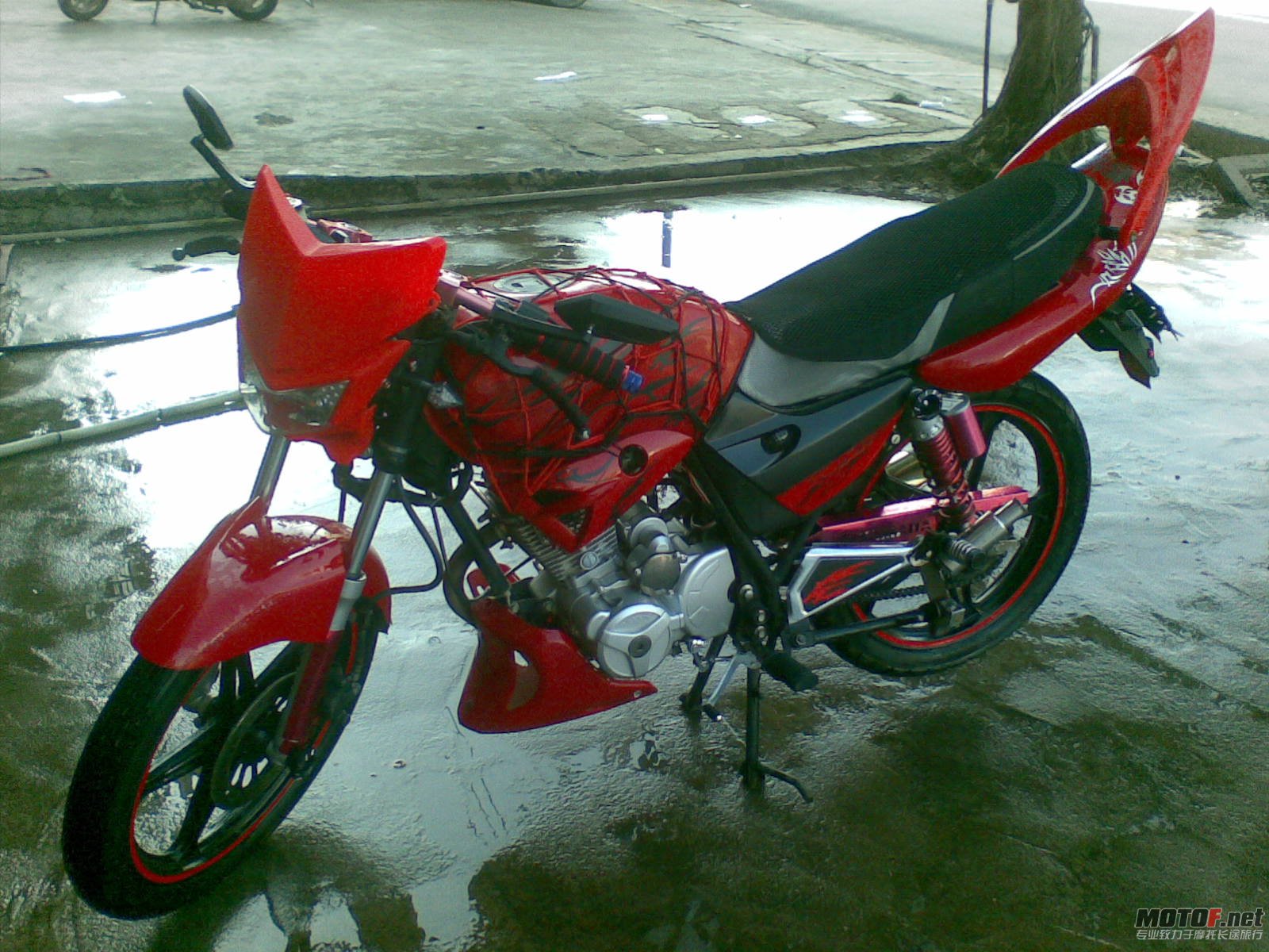 20111017.jpg