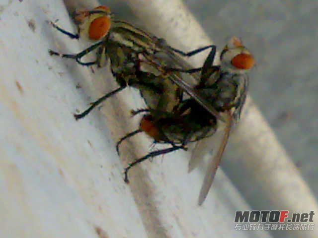 20111021174.jpg