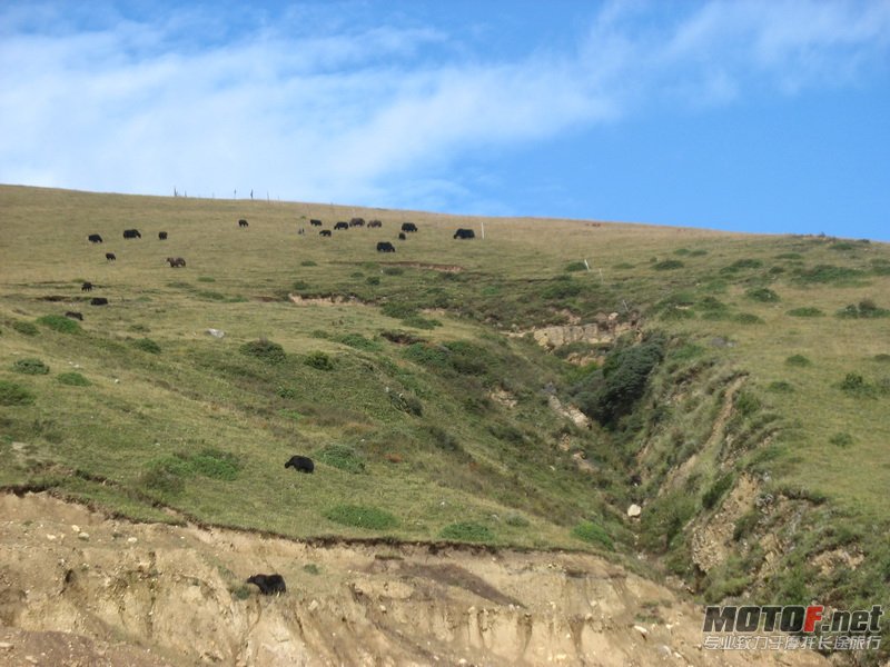 IMG_5564_调整大小.JPG