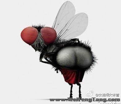 70a9843ejw1dlv8b3ixzpj.jpg