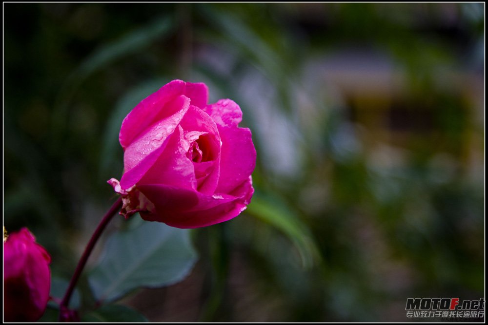 IMG_6705.jpg