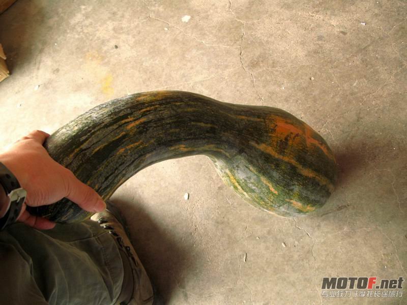 B 01.JPG