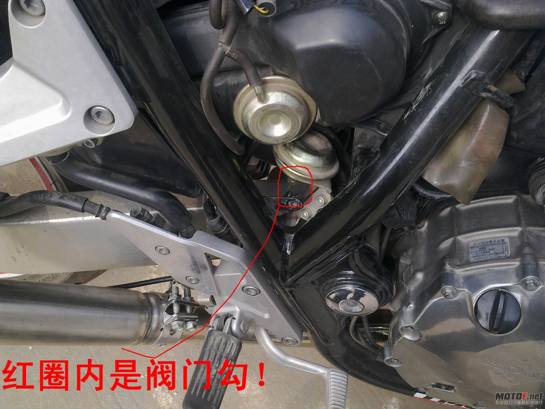 201111012016.jpg