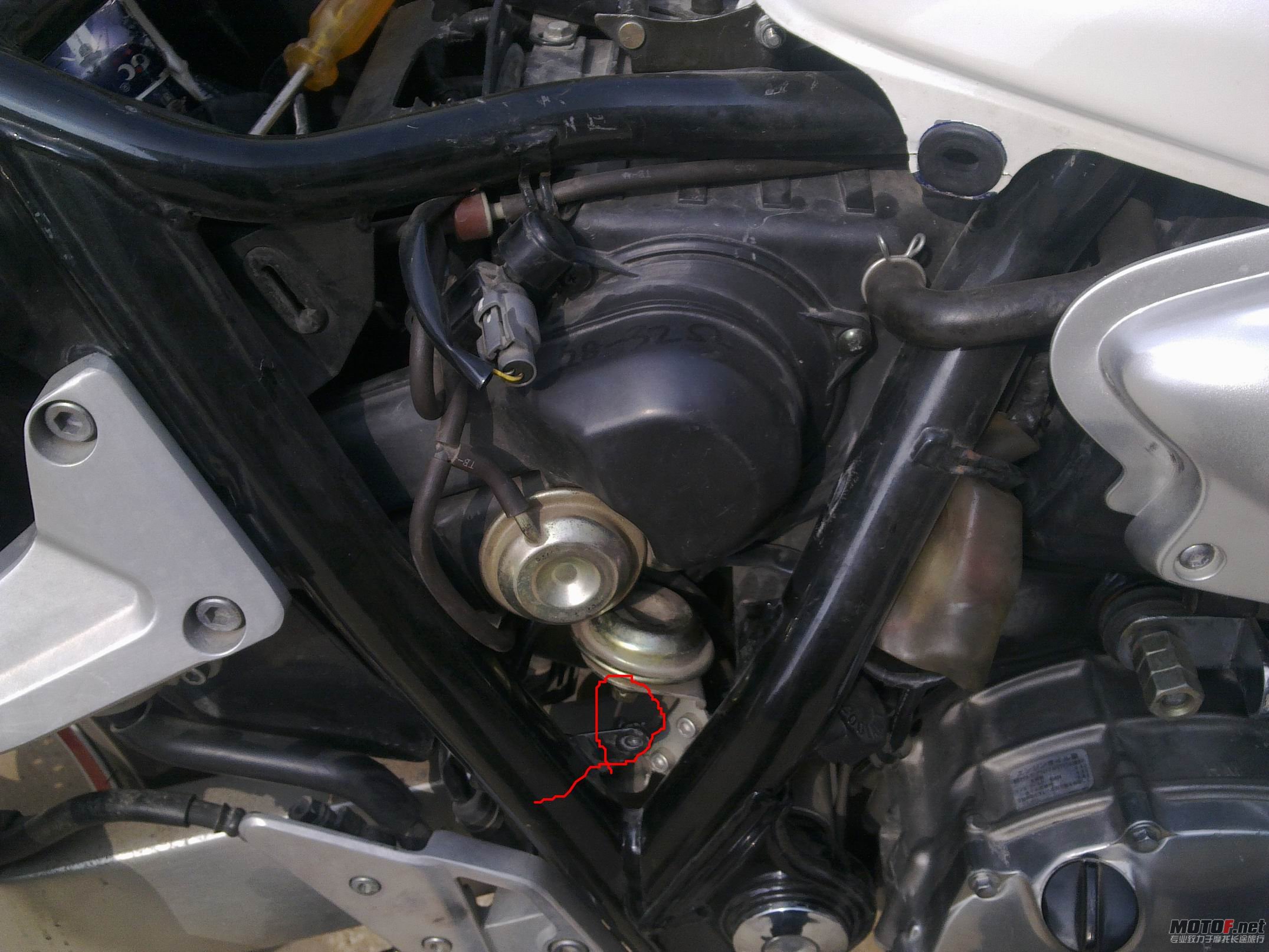 201111012018.jpg