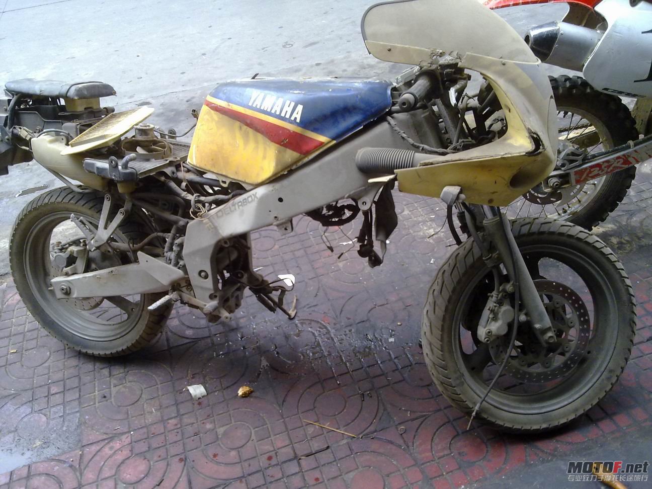 20110608209.jpg