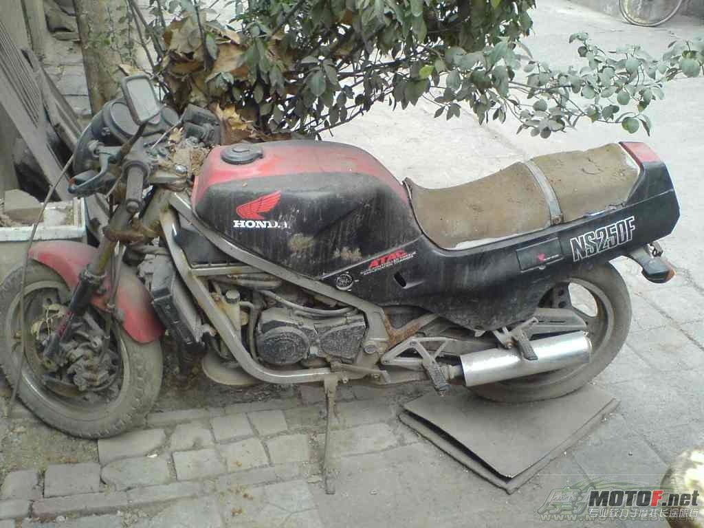 20080130_deee0f248b272bb97605vD4eK4flt7fC.jpg